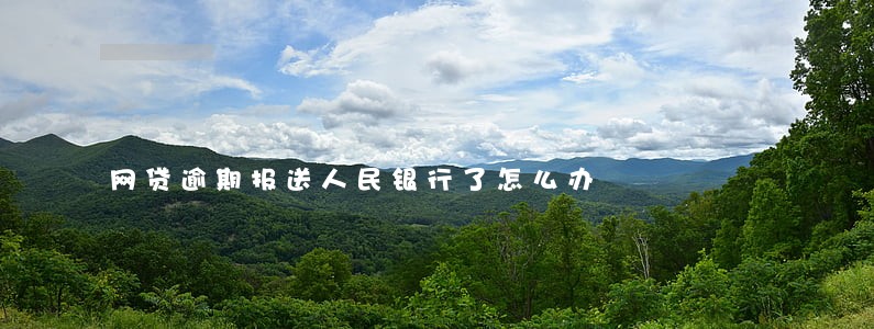 网贷逾期报送人民银行了怎么办 网贷逾期报送人民银行了怎么办