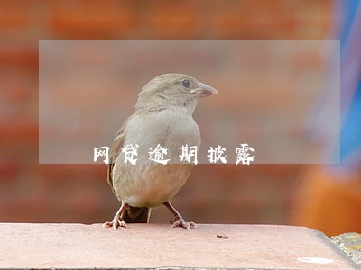 网贷逾期披露