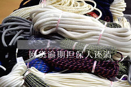 网贷逾期担保人还清