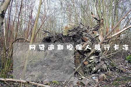 网贷逾期担保人银行卡冻结 网贷逾期担保人银行卡冻结