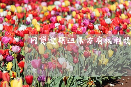 网贷逾期担保方有权利债权转让吗 网贷逾期担保方有权利债权转让吗