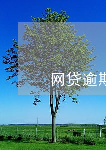 网贷逾期拆东墙补西壁 网贷逾期拆东墙补西壁