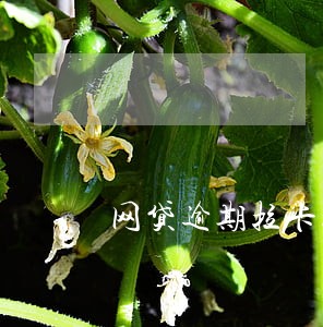 网贷逾期拉卡拉 网贷逾期拉卡拉