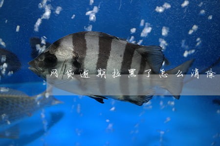 网贷逾期拉黑了怎么消除