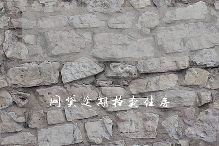 网贷逾期拍卖住房 网贷逾期拍卖住房