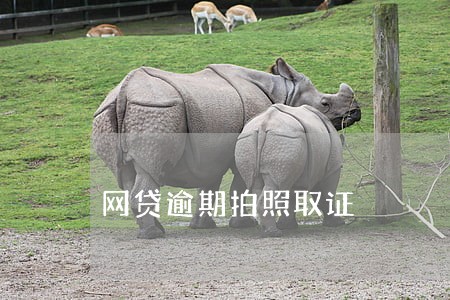 网贷逾期拍照取证 网贷逾期拍照取证