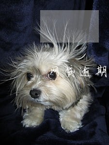 网贷逾期拒接电话的后果 网贷逾期拒接电话的后果
