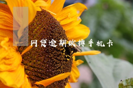 网贷逾期拔掉手机卡 网贷逾期拔掉手机卡