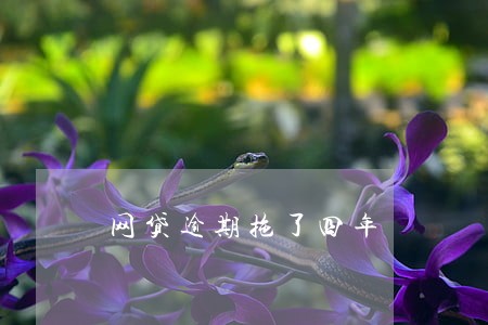网贷逾期拖了四年 网贷逾期拖了四年