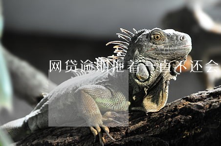 网贷逾期拖着一直不还会怎么样 网贷逾期拖着一直不还会怎么样