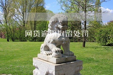 网贷逾期拘留处罚 网贷逾期拘留处罚