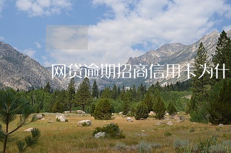 网贷逾期招商信用卡为什么能下 网贷逾期招商信用卡为什么能下