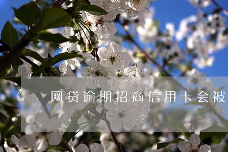 网贷逾期招商信用卡会被冻结吗 网贷逾期招商信用卡会被冻结吗
