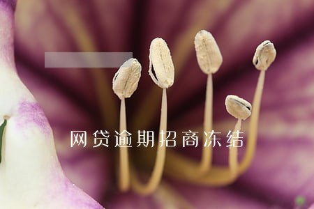 网贷逾期招商冻结 网贷逾期招商冻结