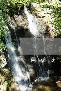 网贷逾期招行信用卡被停了 网贷逾期招行信用卡被停了