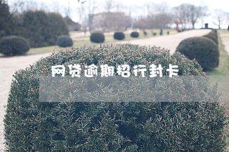 网贷逾期招行封卡 网贷逾期招行封卡