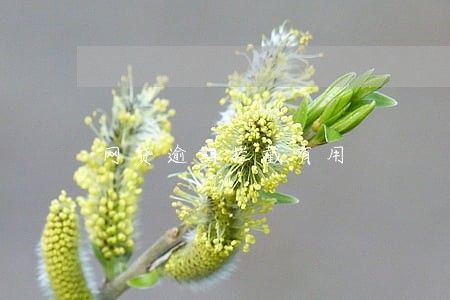 网贷逾期拦截有用 网贷逾期拦截有用