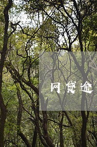 网贷逾期拦截电话后果 网贷逾期拦截电话后果