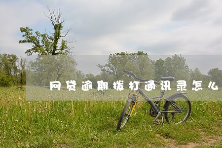 网贷逾期拨打通讯录怎么办 网贷逾期拨打通讯录怎么办