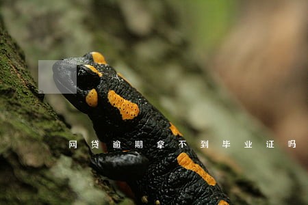 网贷逾期拿不到毕业证吗 网贷逾期拿不到毕业证吗
