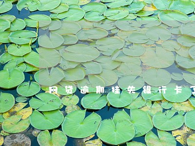网贷逾期挂失银行卡了 网贷逾期挂失银行卡了