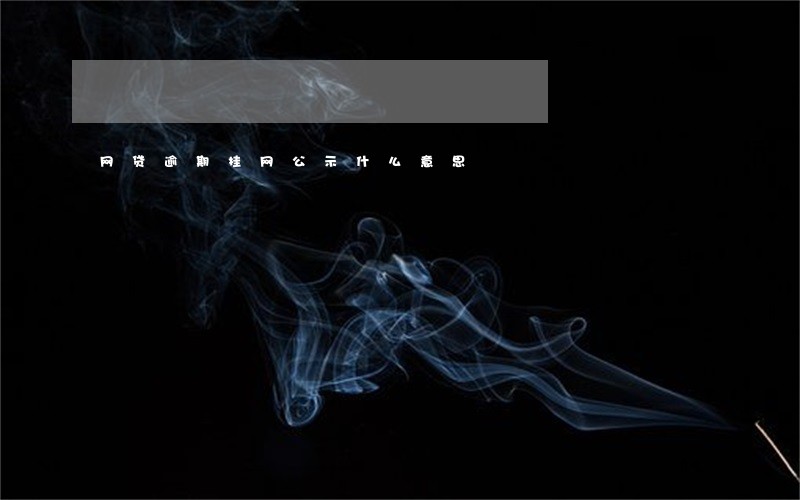 网贷逾期挂网公示什么意思