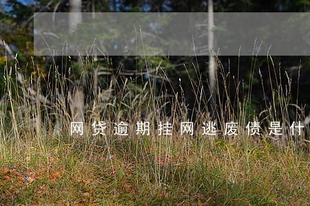 网贷逾期挂网逃废债是什么意思 网贷逾期挂网逃废债是什么意思