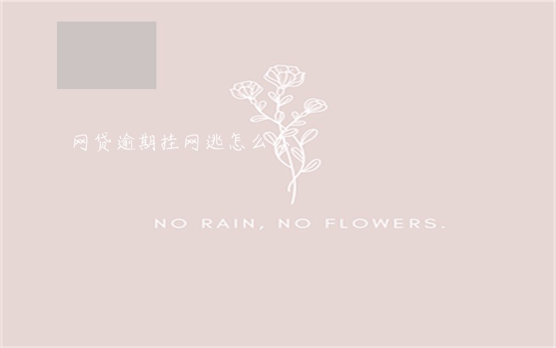 网贷逾期挂网逃怎么办 网贷逾期挂网逃怎么办