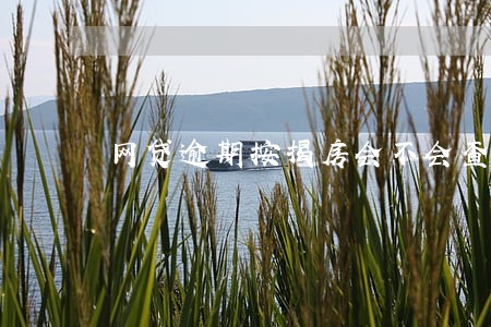 网贷逾期按揭房会不会查封 网贷逾期按揭房会不会查封