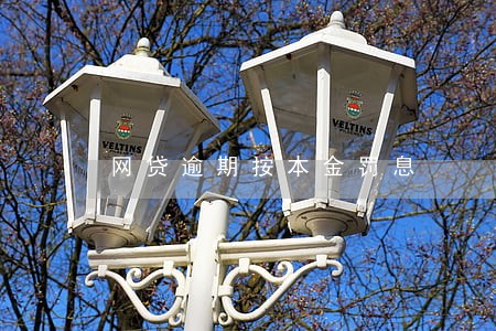 网贷逾期按本金罚息