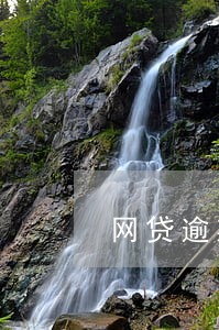 网贷逾期换不上怎么办