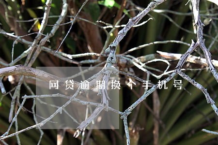 网贷逾期换个手机号 网贷逾期换个手机号