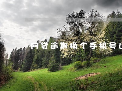 网贷逾期换个手机号还能贷吗