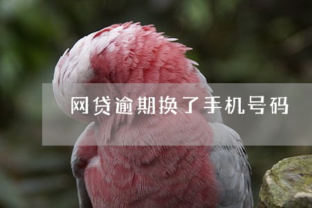 网贷逾期换了手机号码 网贷逾期换了手机号码
