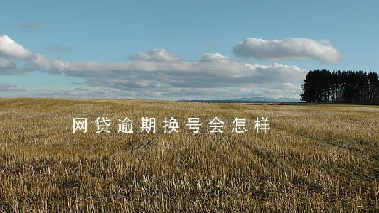 网贷逾期换号会怎样