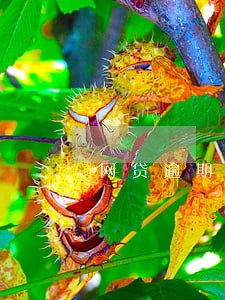 网贷逾期换号是真的吗 网贷逾期换号是真的吗