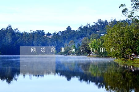 网贷逾期换号有用吗 网贷逾期换号有用吗