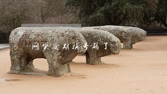 网贷逾期换号码了 网贷逾期换号码了