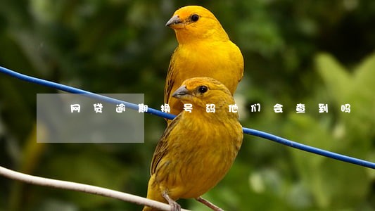 网贷逾期换号码他们会查到吗 网贷逾期换号码他们会查到吗