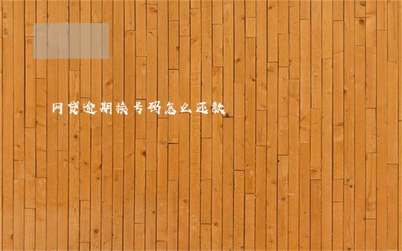 网贷逾期换号码怎么还款 网贷逾期换号码怎么还款