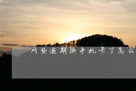 网贷逾期换手机卡了怎么办 网贷逾期换手机卡了怎么办