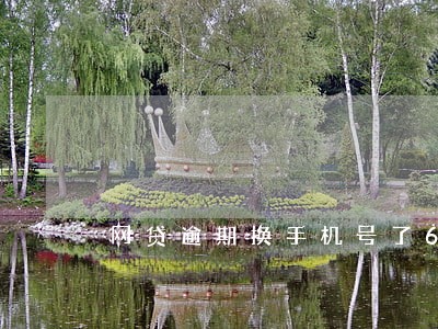 网贷逾期换手机号了6 网贷逾期换手机号了6