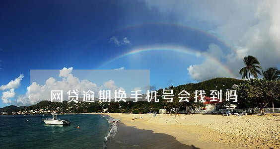网贷逾期换手机号会找到吗 网贷逾期换手机号会找到吗