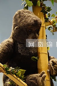 网贷逾期换手机号是诈骗吗 网贷逾期换手机号是诈骗吗