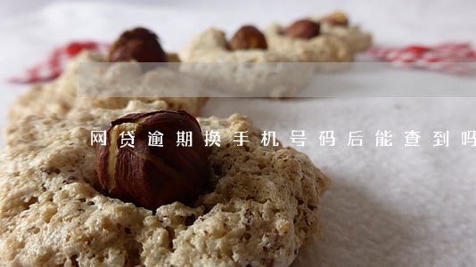 网贷逾期换手机号码后能查到吗 网贷逾期换手机号码后能查到吗