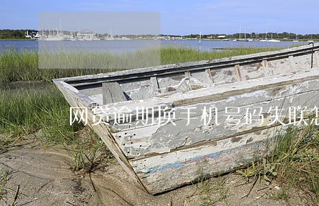 网贷逾期换手机号码失联怎么办