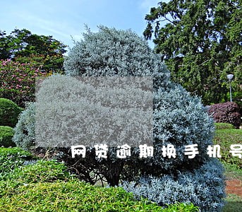 网贷逾期换手机号码犯罪吗 网贷逾期换手机号码犯罪吗