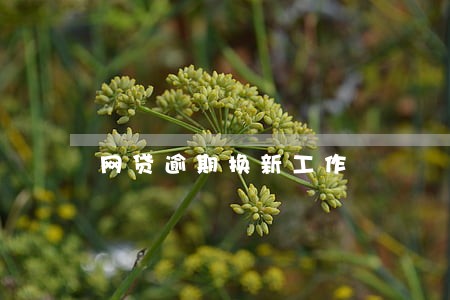网贷逾期换新工作 网贷逾期换新工作