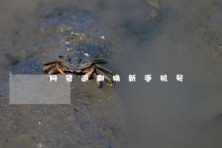 网贷逾期换新手机号 网贷逾期换新手机号