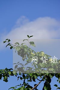 网贷逾期捷信可以过吗